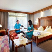 Hotel Donauschlinge - Voorbeeld kamer